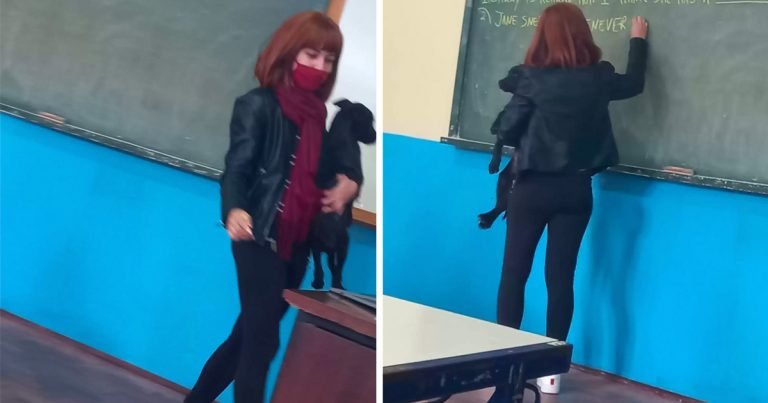 Profesora consuela a una perrita perdida que entró durante su clase