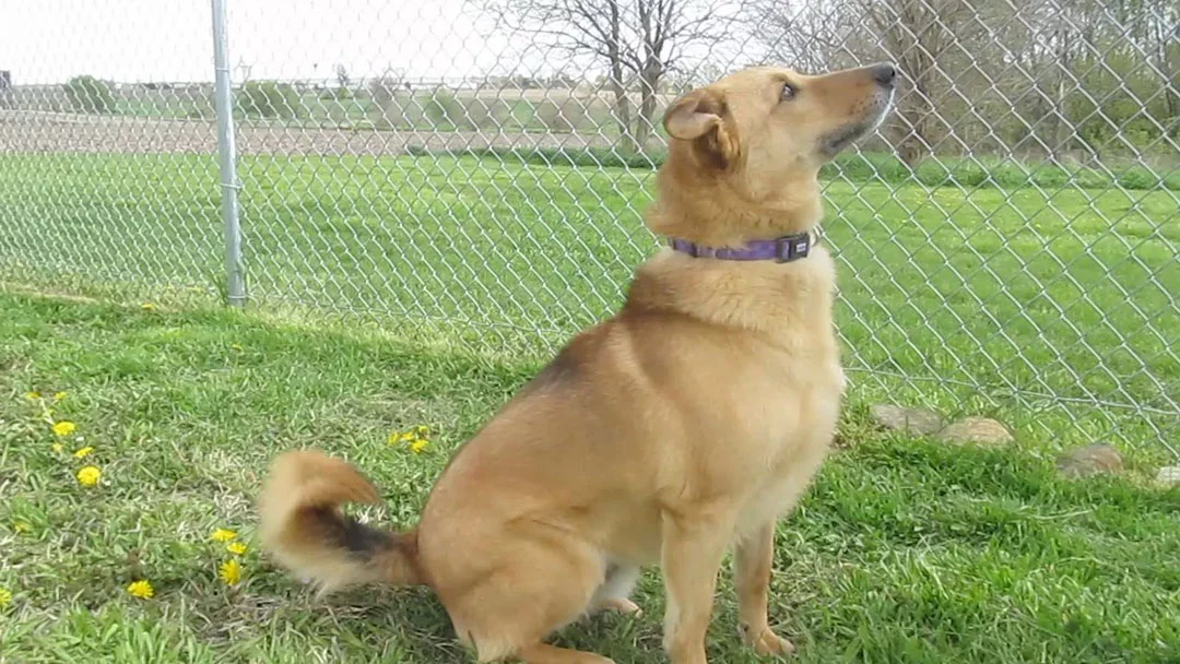 Stuart joven Stuart joven