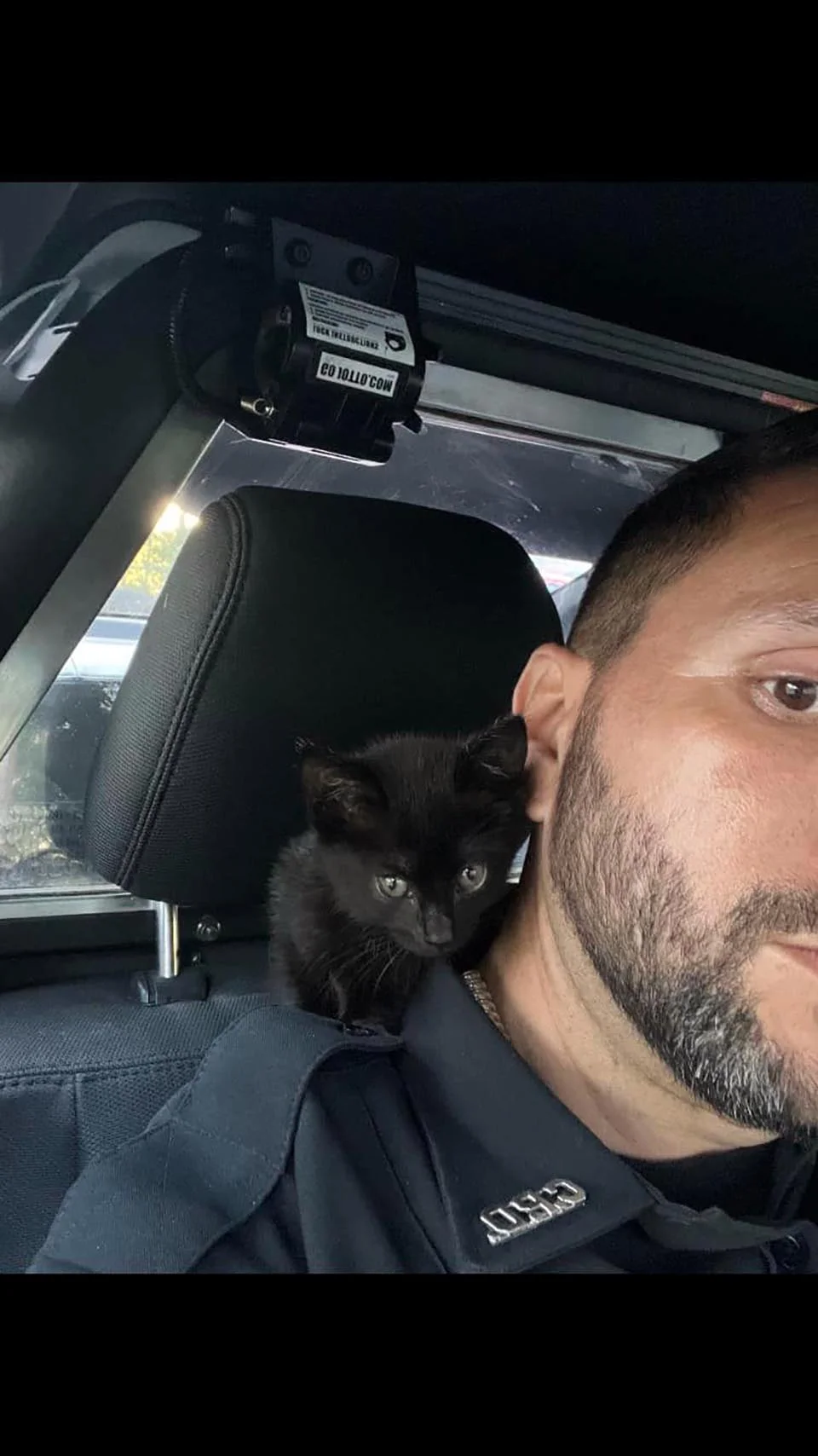 Un oficial de policía salva a una pequeña gatita del motor de un jeep y su compañero la adopta 3 Un oficial de policía salva a una pequeña gatita negra