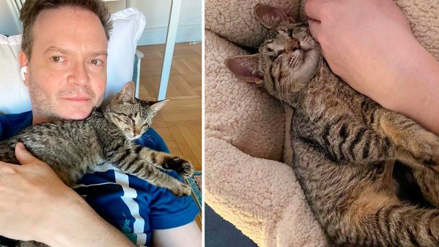Gatita ciega se vuelve completamente cariñosa después de que un hombre la acogiera