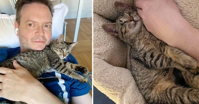 Gatita ciega se vuelve completamente cariñosa después de que un hombre la acogiera