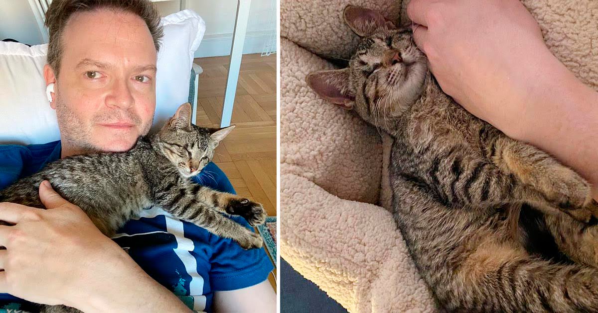 Gatita ciega se vuelve completamente cariñosa después de que un hombre la acogiera
