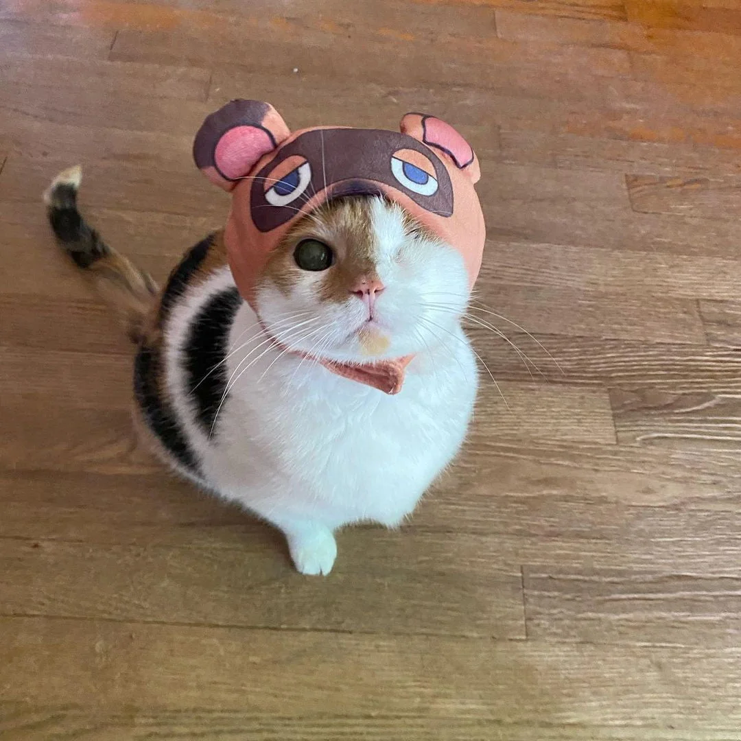 Hazel usando sombrero