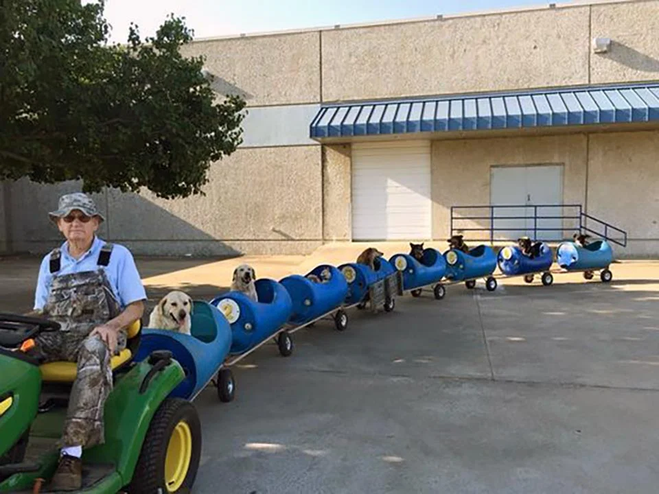 Hombre construye un tren para llevar de paseo a sus perros rescatados 1 Hombre y sus mascotas en el tren