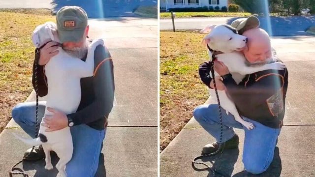 Perro refugio conoce nuevo papa no deja abrazarlo