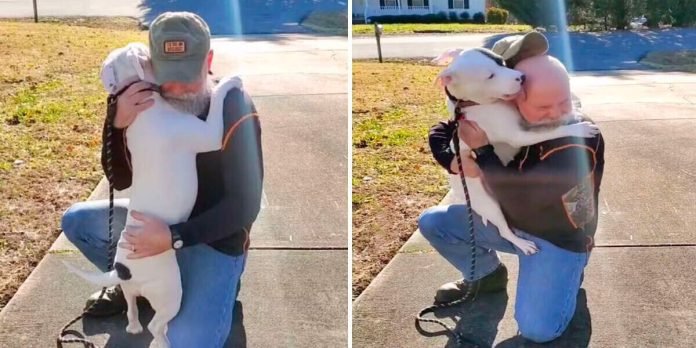 Perro refugio conoce nuevo papa no deja abrazarlo