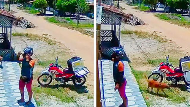 Repartidor sorprendido despues comida desapareciera
