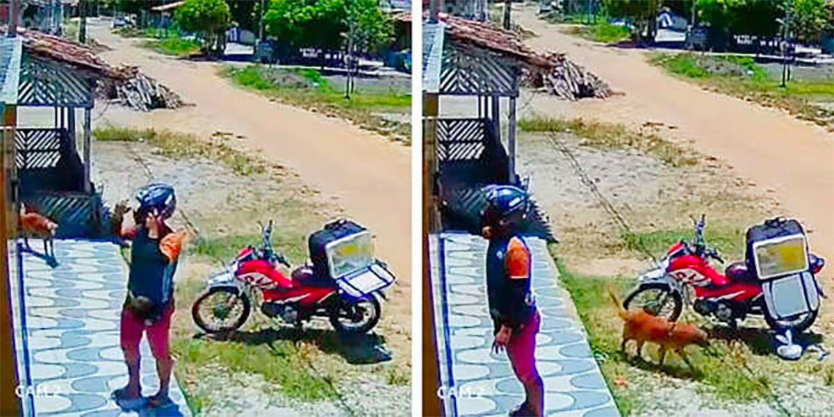 Repartidor sorprendido despues comida desapareciera