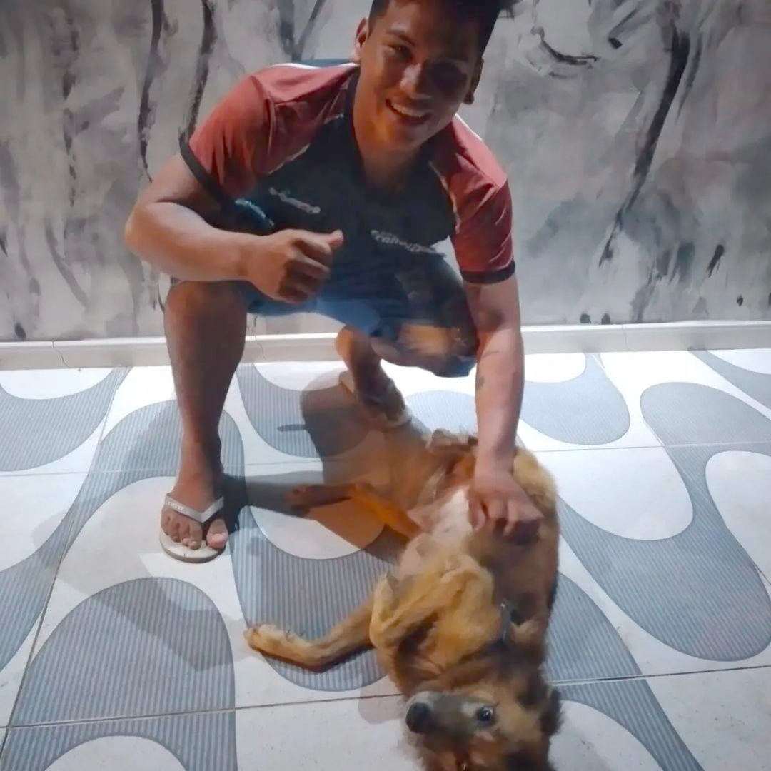 Repartidor y el perro Repartidor y el perro