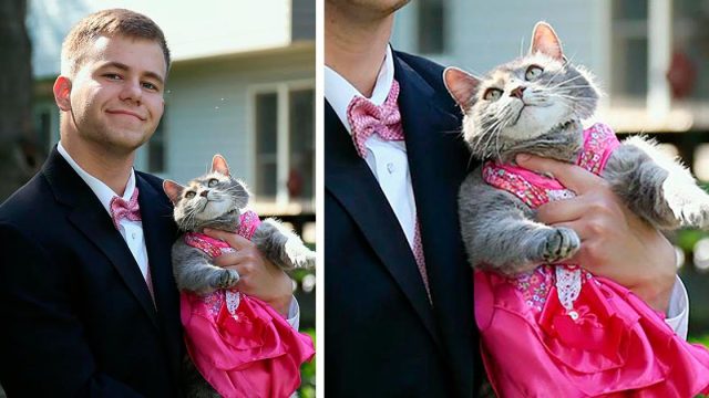 Chico que no encontró una cita para el baile de graduación, decide llevar a su gatita