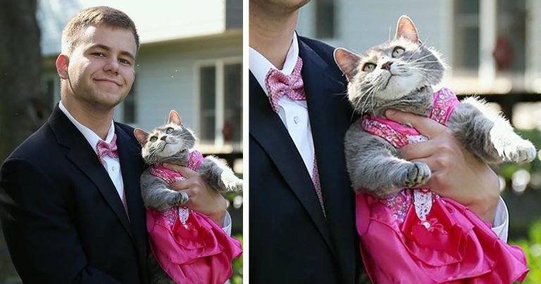 Chico que no encontró una cita para el baile de graduación, decide llevar a su gatita