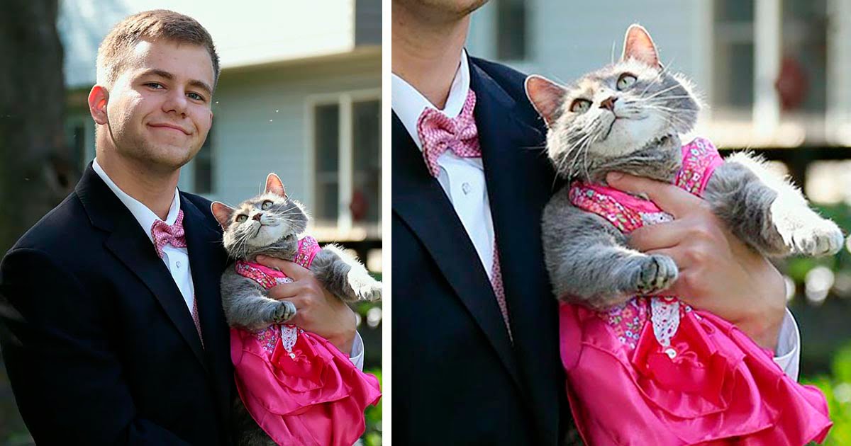 Chico que no encontró una cita para el baile de graduación, decide llevar a su gatita