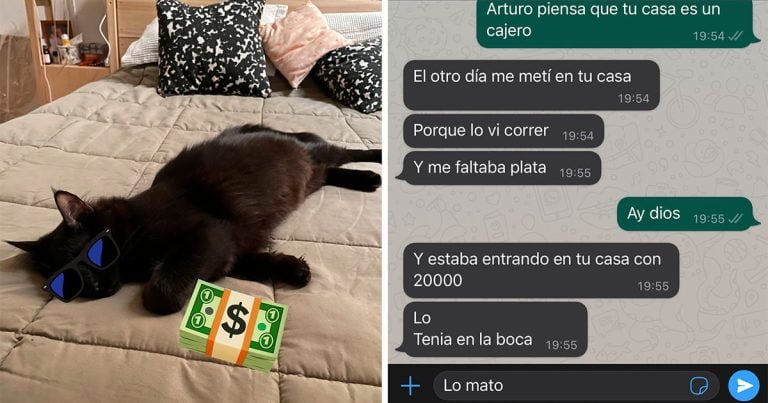 Gato entra a la casa del vecino para llevarse su dinero