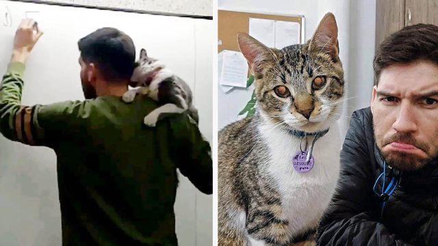 Profesor da sus clases con un gato al hombro creando conciencia sobre el respeto hacia los animales