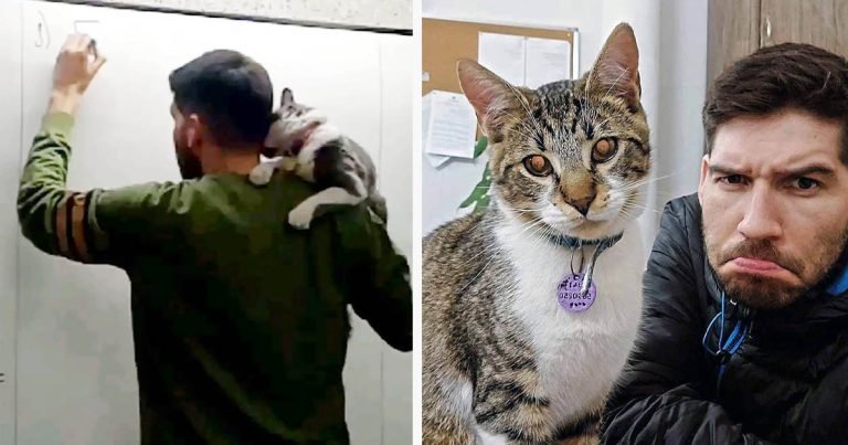Profesor da sus clases con un gato al hombro creando conciencia sobre el respeto hacia los animales