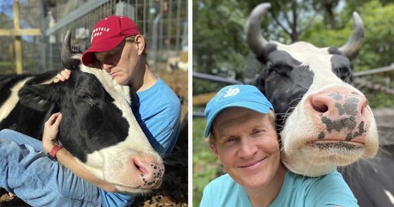 Vaca rescatada intenta entrar todos los días a casa exigiendo abrazos y besos
