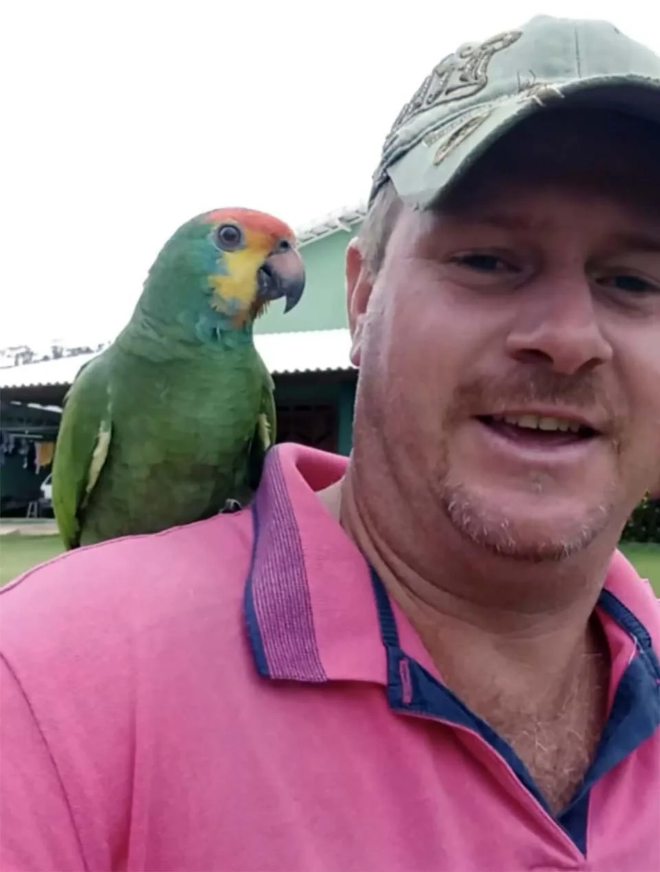 Loro amable encuentra una camada de gatitos y decide cuidarlos 1 Hombre y su loro