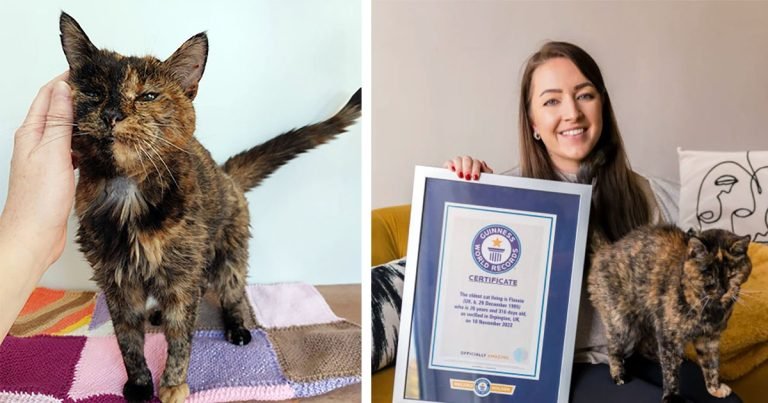 La gata más vieja del mundo tiene casi 27 años y una madre adoptiva menor que ella