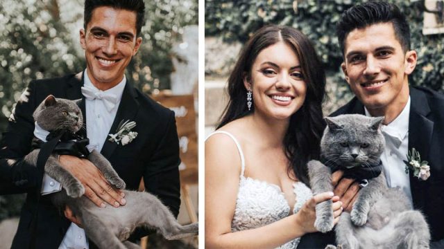 Hombre ama tanto a su gato que lo convierte en el padrino de su boda