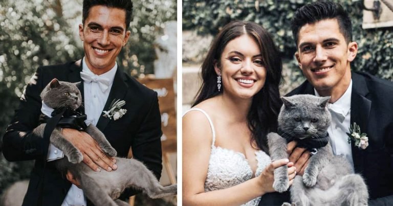 Hombre ama tanto a su gato que lo convierte en el padrino de su boda