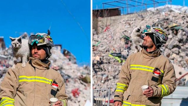 Gato rescatado del terremoto en Turquía no se separa del rescatista