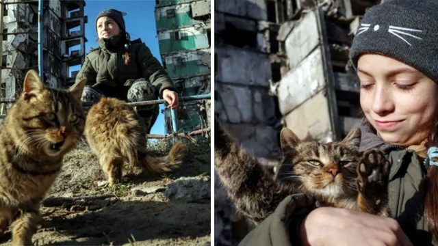Joven ucraniana se encarga de alimentar a los gatos sin hogar de su barrio