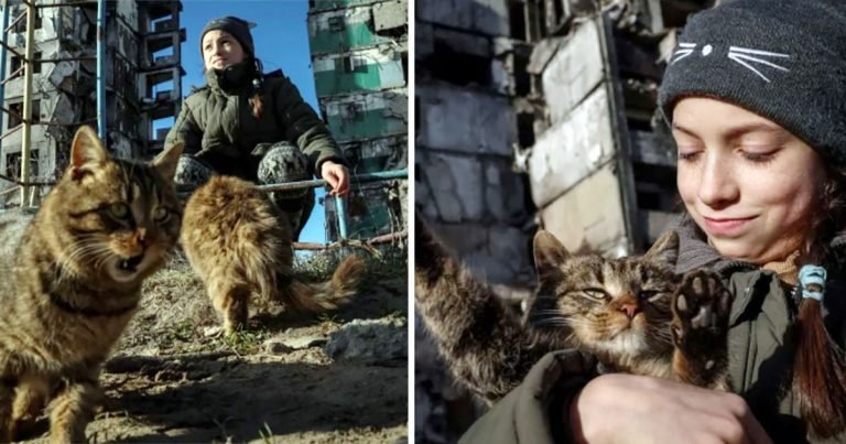 Joven ucraniana se encarga de alimentar a los gatos sin hogar de su barrio