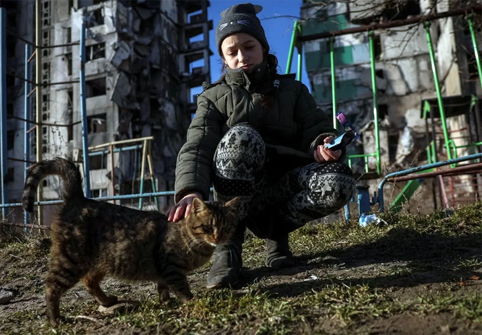 Niña ucraniana alimenta a los gatos sin hogar de su barrio