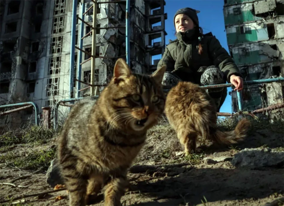 Niña y su gato
