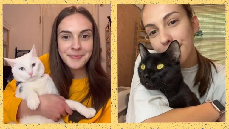 Mujer se muda a una casa nueva y encuentra a los inquilinos más adorables abandonados allí