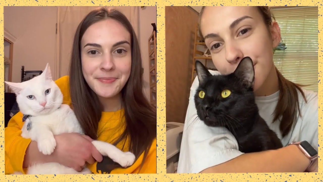 Mujer se muda a una casa nueva y encuentra a los inquilinos más adorables abandonados allí 5