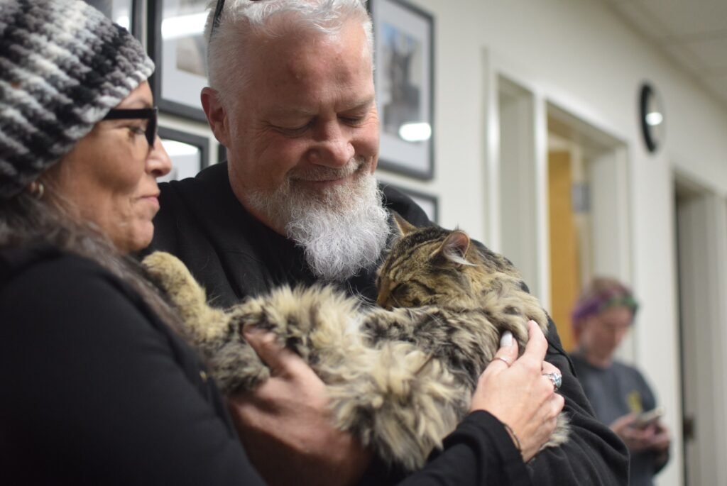 Gato del refugio toma la mano de un visitante en duelo y encuentra un hogar para siempre 6 Adoptan gato en el refugio