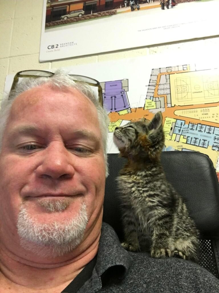 Gato del refugio toma la mano de un visitante en duelo y encuentra un hogar para siempre 1 Chuck y su gatito