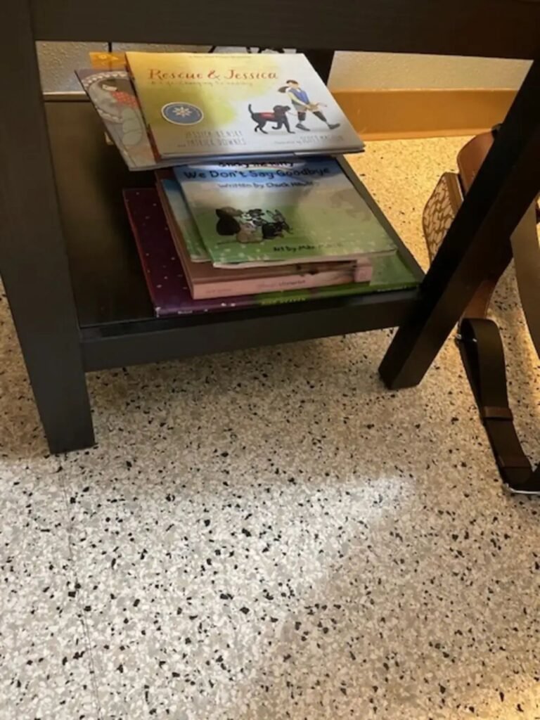 Gato del refugio toma la mano de un visitante en duelo y encuentra un hogar para siempre 3 Estante libros