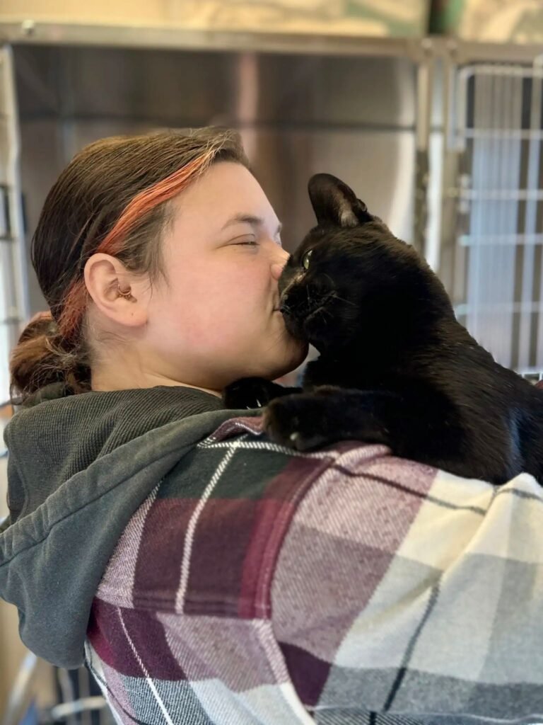 Ravi, el gato que amaba demasiado: abandonado por ser demasiado cariñoso 4 Ravi cariñoso