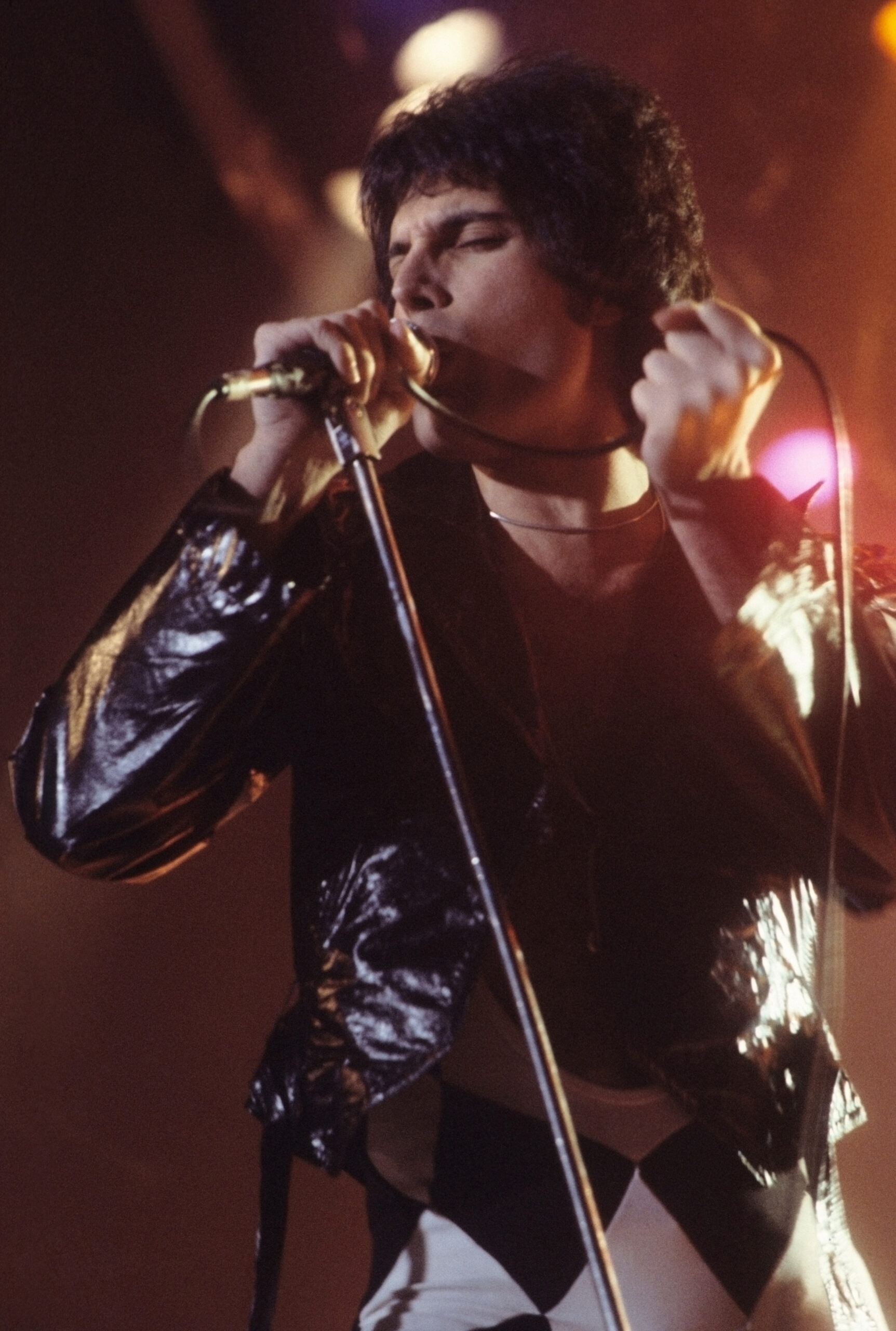 Freddie Mercury le declaró su amor a una gata en una canción de Queen y la acusó de orinar sus muebles 3 Freddie Mercury canta en el escenario durante un concierto en New Haven, Connecticut, en 1977
