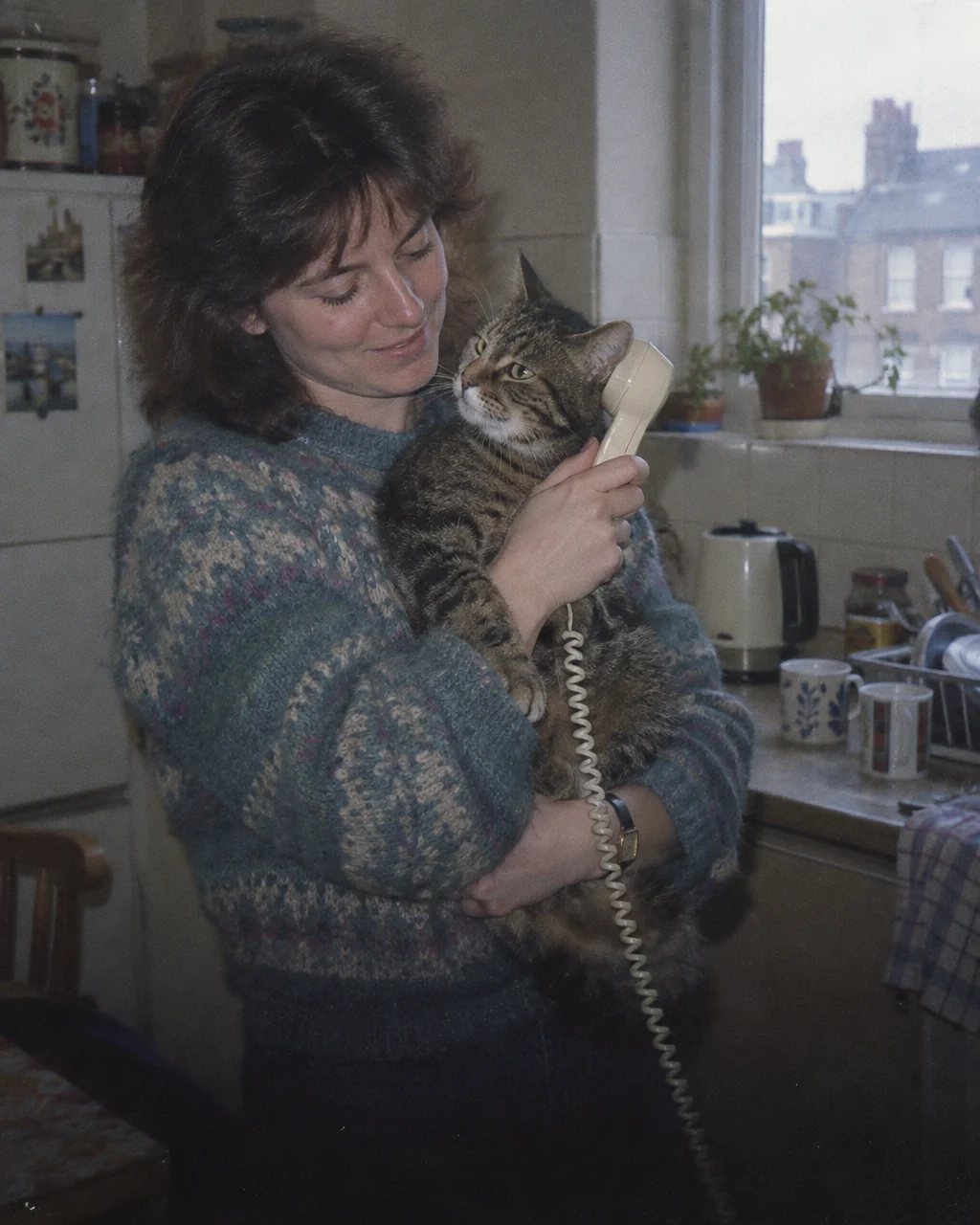 Freddie Mercury le declaró su amor a una gata en una canción de Queen y la acusó de orinar sus muebles 4 Mujer con suéter de punto sostiene a un gato atigrado contra el hombro mientras acerca un auricular de teléfono de cable, en una cocina de fines de los años ochenta