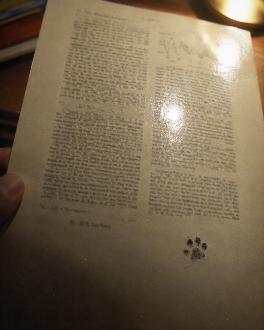 El extraño caso de F. D. C. Willard, coautor de un artículo de física en 1975 4 Primer plano de una página de revista científica de los años setenta bajo una lámpara de escritorio, con una pequeña huella de pata entintada junto a la firma