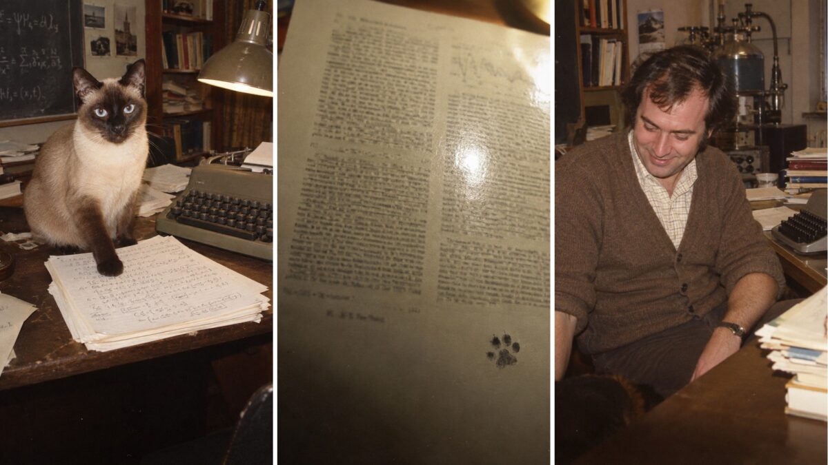 El extraño caso de F. D. C. Willard, coautor de un artículo de física en 1975 1 El extraño caso de F. D. C. Willard, coautor de un artículo de física en 1975
