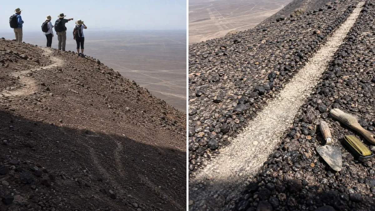 Un gato de 37 metros apareció en Nazca en 2020 y no lo trazaron los nazcas 1 Un gato de 37 metros apareció en Nazca en 2020 y no lo trazaron los nazcas