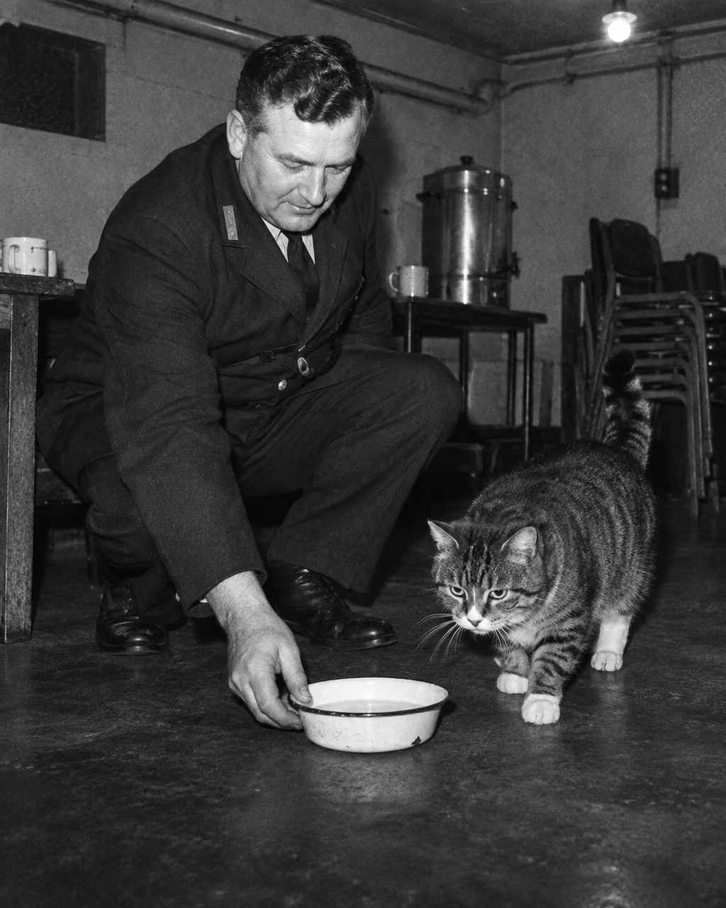 Fotografía granulada en blanco y negro de un portero de correos con chaqueta de uniforme oscura, agachado en un comedor de personal, que deja un plato de esmalte en el suelo mientras un gato robusto camina hacia él; al fondo se ven un gran hervidor de té, sillas apiladas y tuberías a la vista.