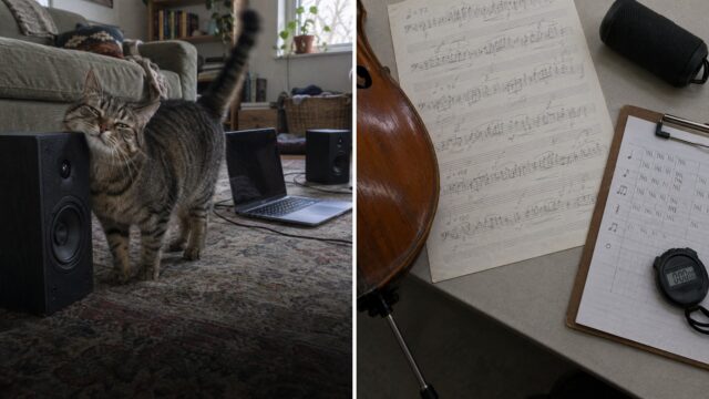 Los gatos ignoraron a Bach, pero se frotaron contra el altavoz con la música escrita para ellos