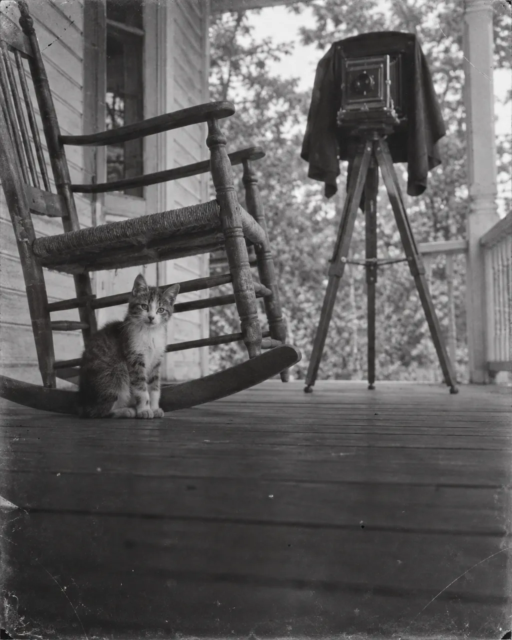 El verano en que Mark Twain pagó para que tres gatitos nunca fueran suyos 6 Galería de madera de una casa de verano vista desde abajo, con una antigua cámara plegable de placas cubierta por un paño oscuro al fondo