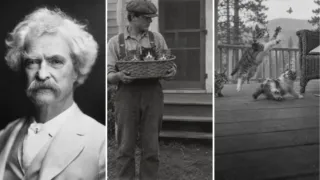 El verano en que Mark Twain pagó para que tres gatitos nunca fueran suyos
