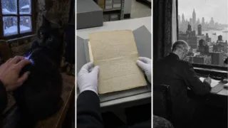 gato de nikola tesla macak electricidad hero