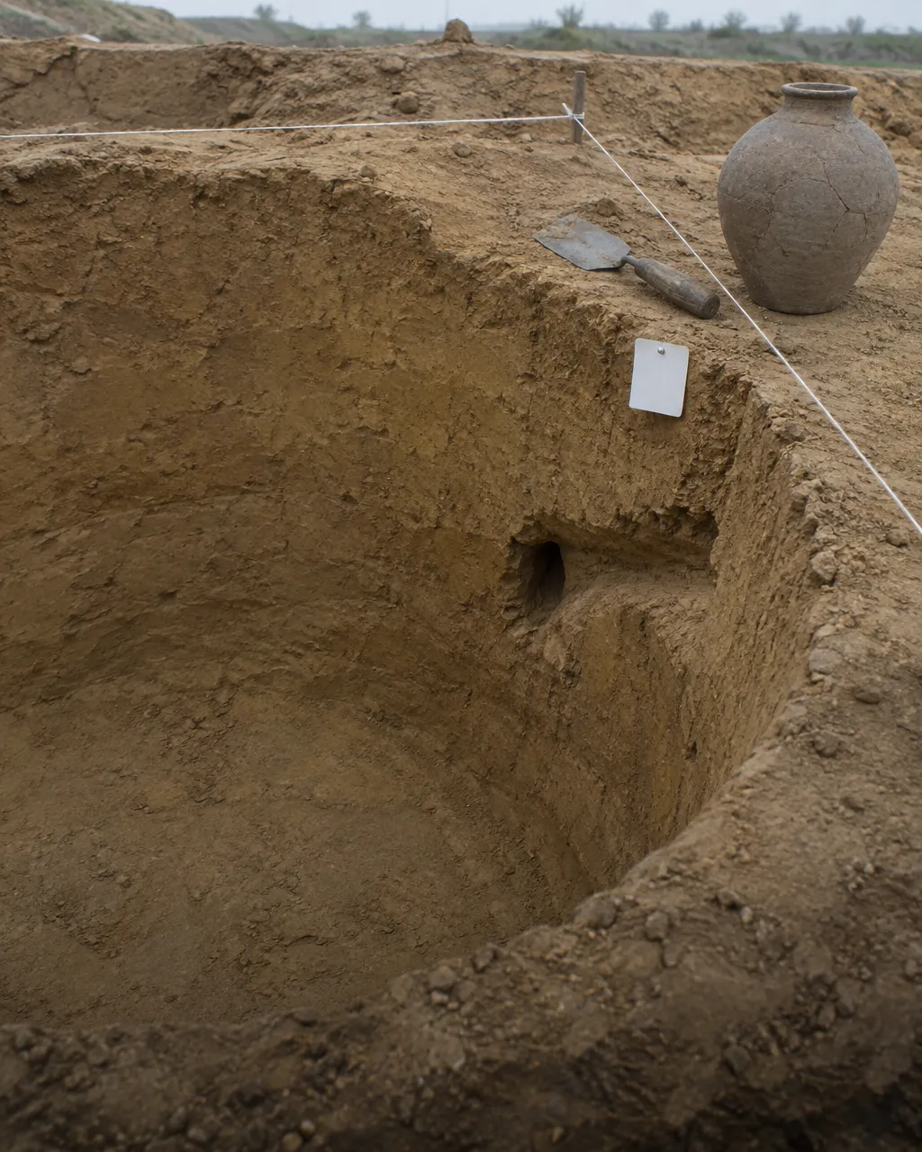 Antes de tu gato, China convivió 3.500 años con otro felino 3 Corte de una excavación en suelo amarillo con un antiguo depósito de grano circular y un túnel de roedor que entra por su costado, junto a una paleta de arqueólogo, una cuadrícula de hilo y una etiqueta en blanco.