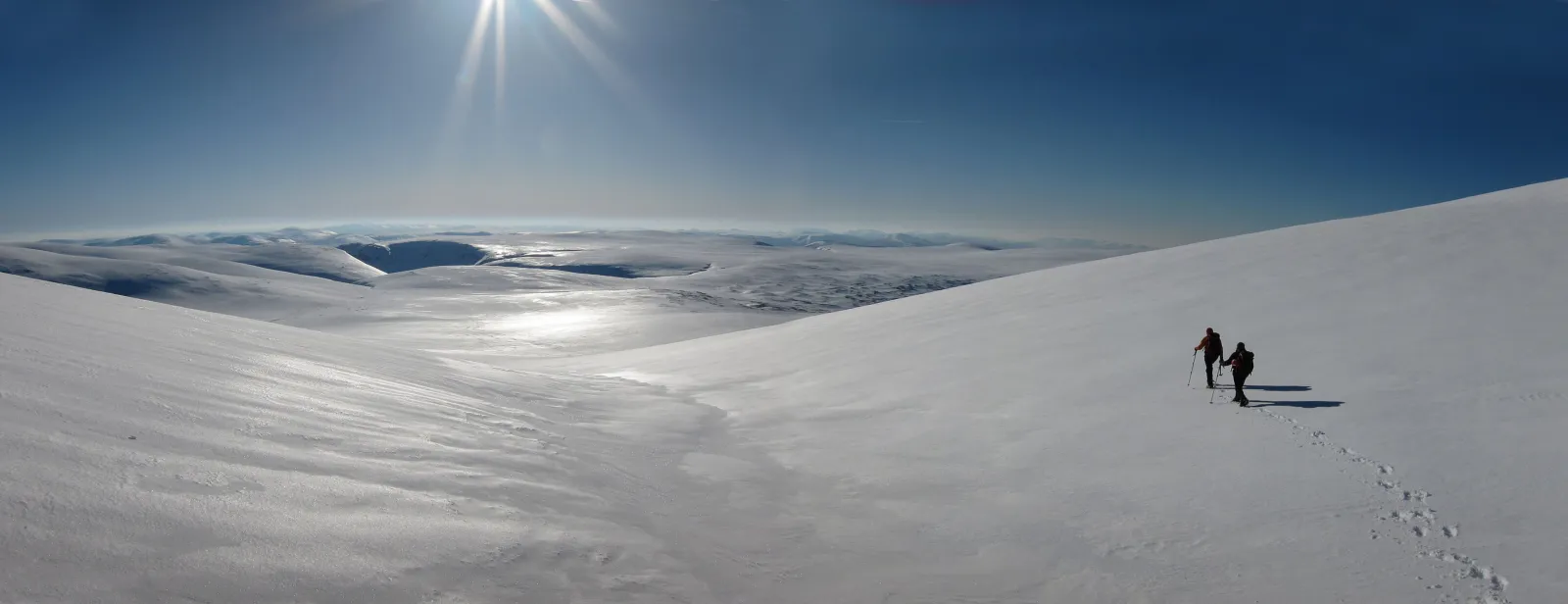 Cuatro linces aparecieron en la nieve de Escocia tras siglos de ausencia, y hasta sus defensores condenaron cómo llegaron 3 Dos caminantes diminutos cruzan las amplias laderas nevadas del Braeriach, en los Cairngorms