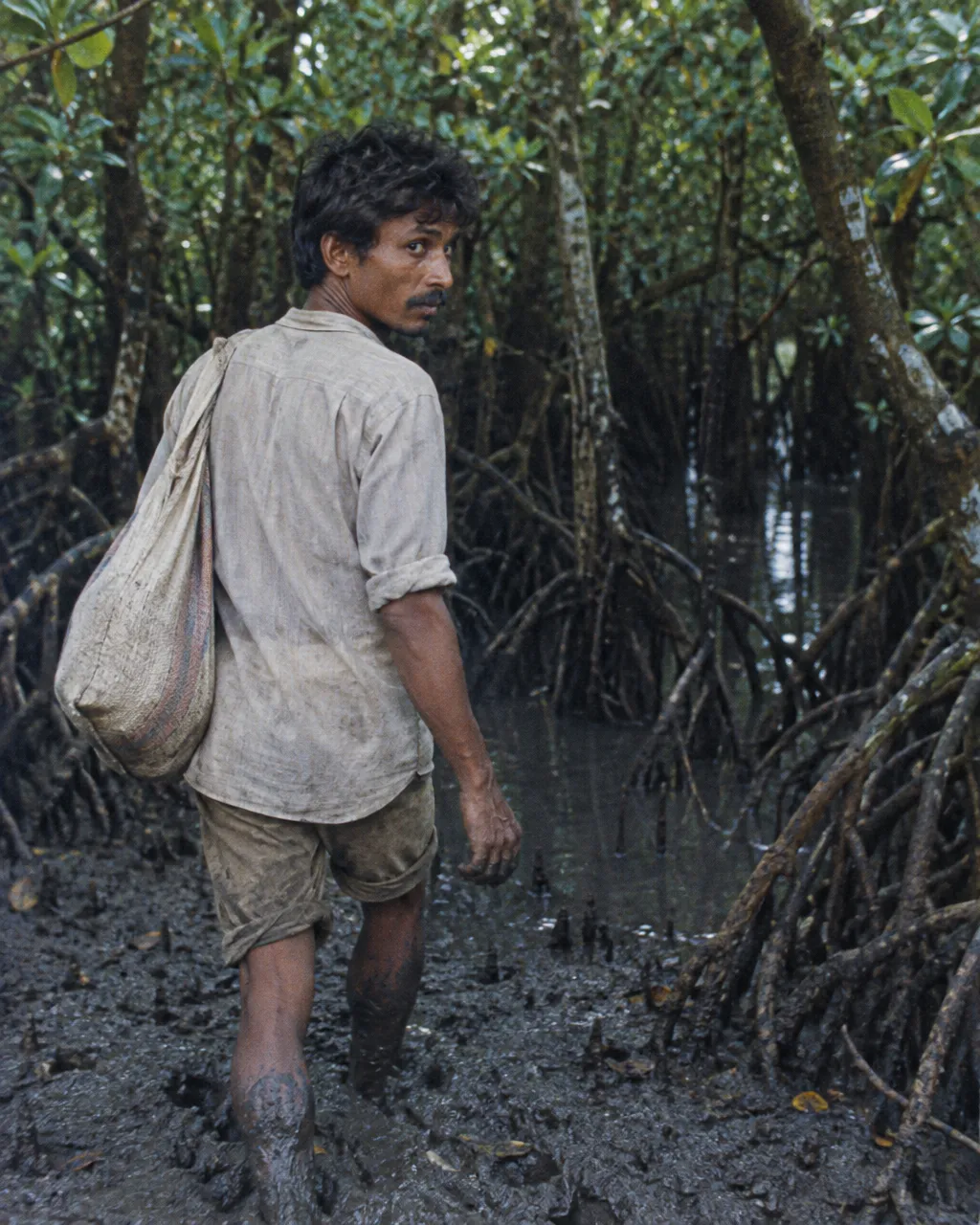 Una cara de goma en la nuca: el plan para engañar al tigre de los Sundarbans 6 Un recolector de miel, visto de espaldas y un poco de lado, camina con lodo hasta los tobillos entre raíces de mangle