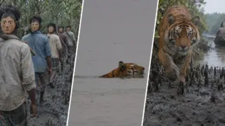 mascaras contra el tigre sundarbans hero