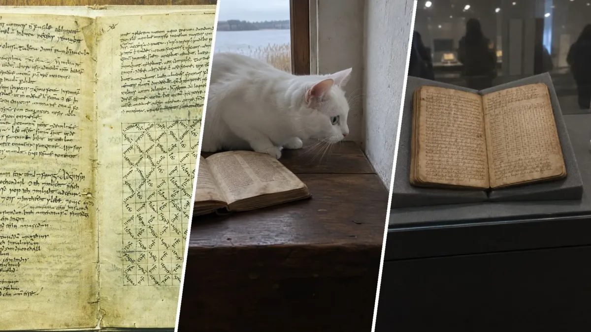 Pangur Bán: el poema que un monje sin nombre escribió a su gato hace 1.200 años, y que aún existe 1 Pangur Bán: el poema que un monje sin nombre escribió a su gato hace 1.200 años, y que aún existe